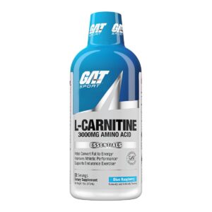 L-CARNITINE LIQUID 3000MG